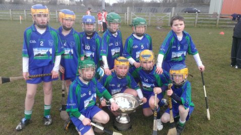 Primary 6 & 7 hurlers