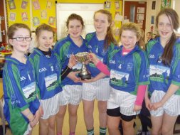 Camogie Success in Indoor Finals