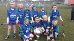 Primary 6 & 7 hurling